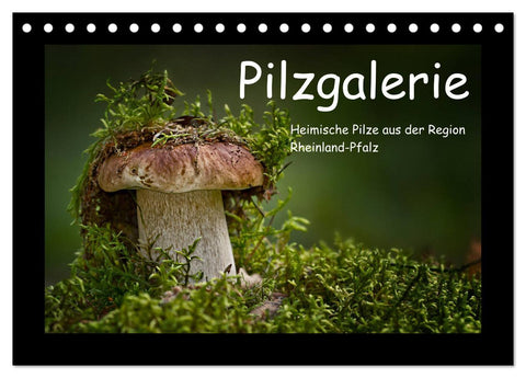 Pilzgalerie - Heimische Pilze aus der Region Rheinland-Pfalz (Tischkalender 2026 DIN A5 quer), CALVENDO Monatskalender