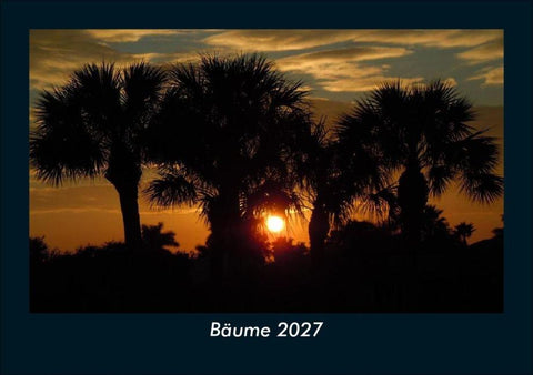 Bäume 2027 Fotokalender DIN A5