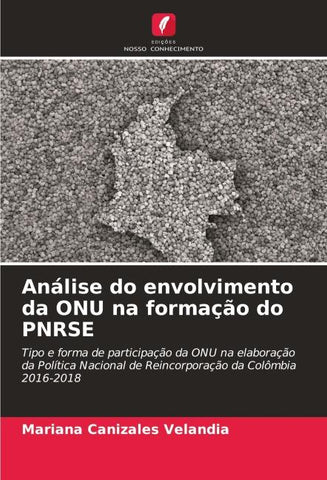 Análise do envolvimento da ONU na formação do PNRSE