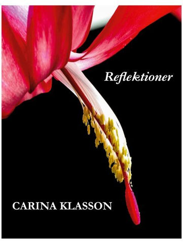 Reflektioner