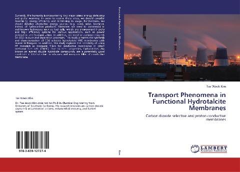 Transport Phenomena in Functional Hydrotalcite Membranes