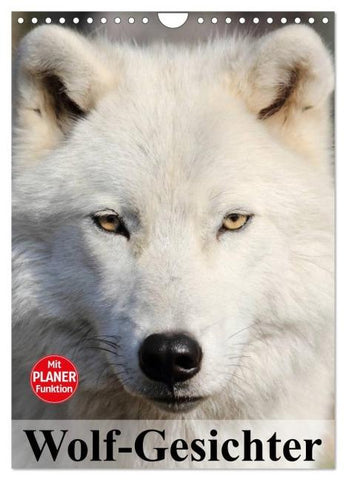 Wolf-Gesichter (Wandkalender 2026 DIN A4 hoch), CALVENDO Monatskalender