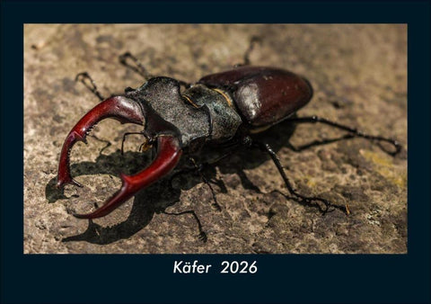 Käfer  2026 Fotokalender DIN A5