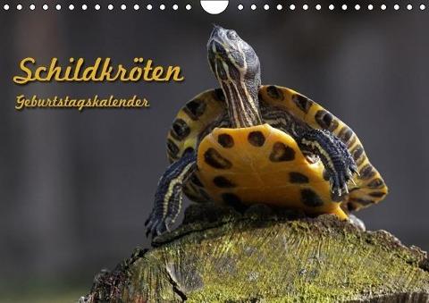 Schildkröten Geburtstagskalender (Wandkalender immerwährend DIN A4 quer)