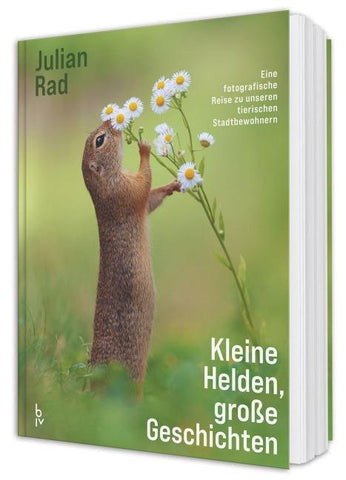 Kleine Helden – große Geschichten