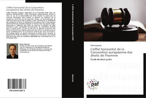 L'effet horizontal de la Convention européenne des droits de l'homme