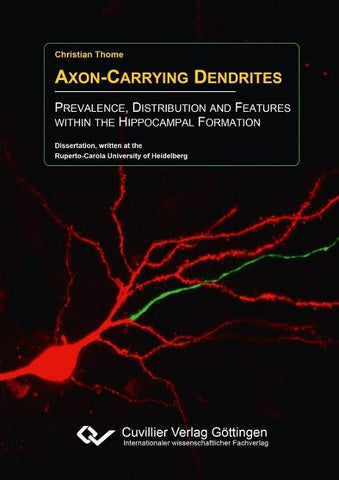 Axon-Carrying Dendrites. Prevalence, Distribution and Features within the Hippocampal Formation