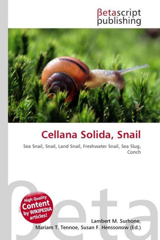 Cellana Solida, Snail