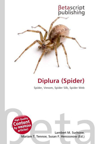 Diplura (Spider)
