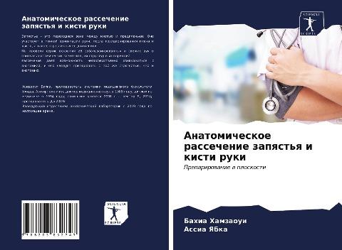 Anatomicheskoe rassechenie zapqst'q i kisti ruki