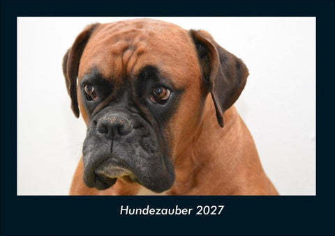 Hundezauber 2027 Fotokalender DIN A4