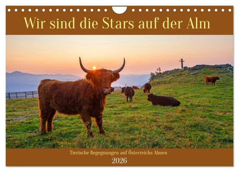 Wir sind die Stars auf der Alm (Wandkalender 2026 DIN A4 quer), CALVENDO Monatskalender