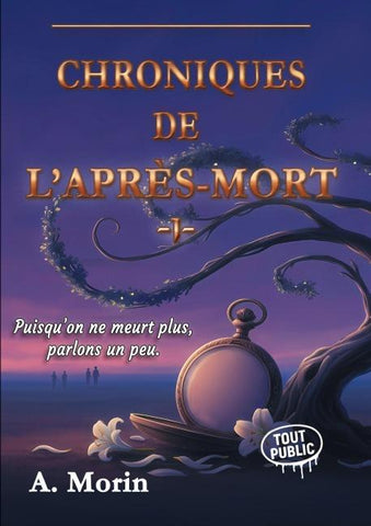 Chroniques de l'après-mort