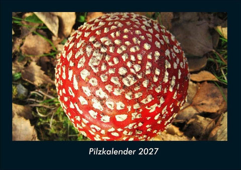 Pilzkalender 2027 Fotokalender DIN A4