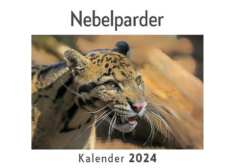 Nebelparder (Wandkalender 2024, Kalender DIN A4 quer, Monatskalender im Querformat mit Kalendarium, Das perfekte Geschenk)