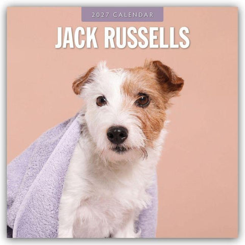 Jack Russells – Jack Russell Terrier 2027 – 16-Monatskalender