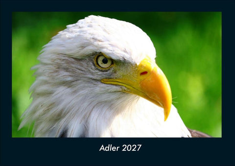 Adler 2027 Fotokalender DIN A4
