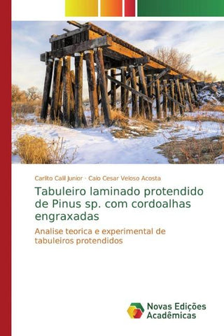 Tabuleiro laminado protendido de Pinus sp. com cordoalhas engraxadas