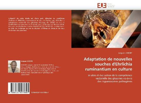 Adaptation de nouvelles souches d'Ehrlichia ruminantium en culture