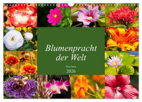 Blumenpracht der Welt (Wandkalender 2026 DIN A3 quer), CALVENDO Monatskalender