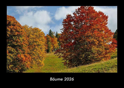 Bäume 2026 Fotokalender DIN A3