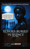 Echoes Buried In Silence
