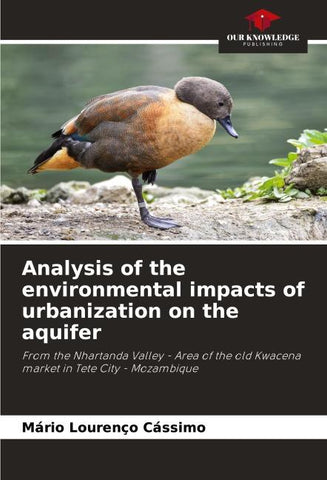 Analysis of the environmental impacts of urbanization on the aquifer