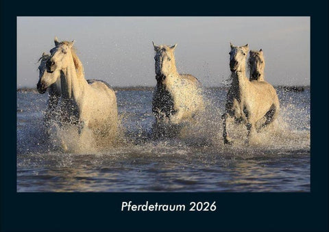 Pferdetraum 2026 Fotokalender DIN A4