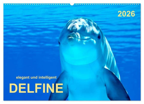 Delfine - elegant und intelligent (Wandkalender 2026 DIN A2 quer), CALVENDO Monatskalender