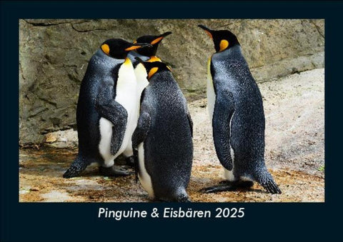 Pinguine & Eisbären 2025 Fotokalender DIN A5