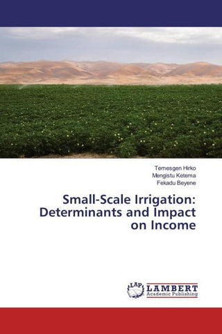 Small-Scale Irrigation: Determinants and Impact on Income
