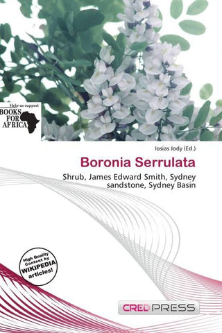 Boronia Serrulata