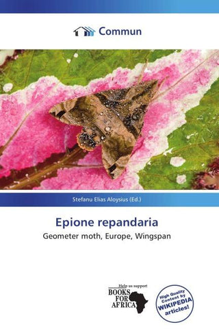 Epione repandaria