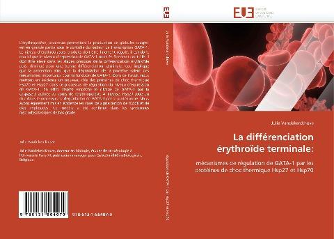 La différenciation érythroïde terminale: