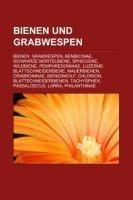 Bienen und Grabwespen