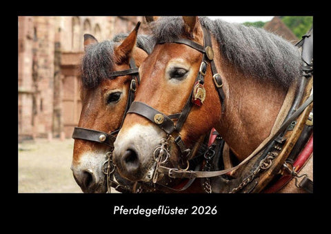 Pferdegeflüster 2026 Fotokalender DIN A3