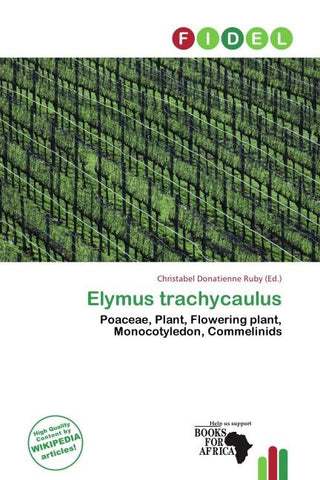 Elymus trachycaulus