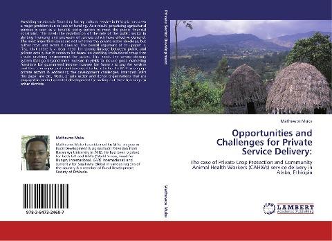 Opportunities and Challenges for Private Service Delivery: