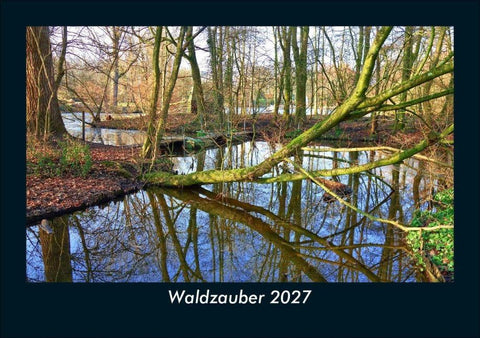 Waldzauber 2027 Fotokalender DIN A5