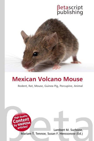 Mexican Volcano Mouse