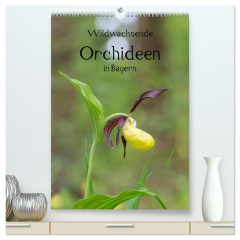 Wildwachsende Orchideen in Bayern (hochwertiger Premium Wandkalender 2026 DIN A2 hoch), Kunstdruck in Hochglanz