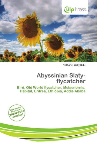Abyssinian Slaty-flycatcher