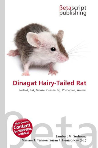 Dinagat Hairy-Tailed Rat