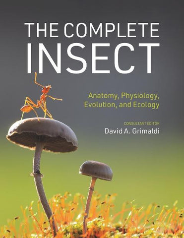 The Complete Insect