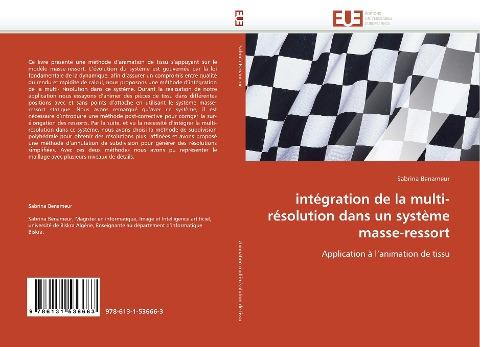 intégration de la multi-résolution dans un système masse-ressort