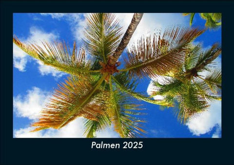 Palmen 2025 Fotokalender DIN A5