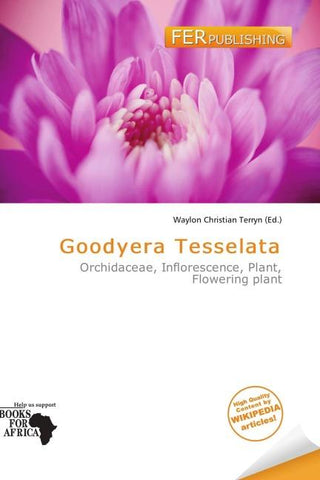 Goodyera Tesselata