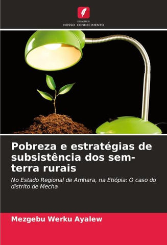 Pobreza e estratégias de subsistência dos sem-terra rurais