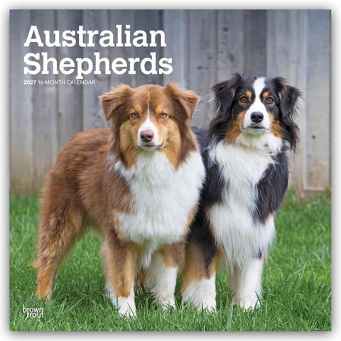 Australian Shepherds 2027 – 16-Monatskalender