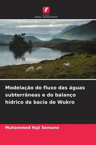 Modelação do fluxo das águas subterrâneas e do balanço hídrico da bacia de Wukro